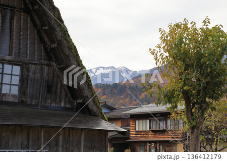 [定額] 秋の紅葉 白川郷 合掌造り集落 ( 岐阜県 白川村 ) 136412179
