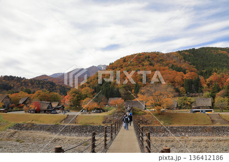 [定額] 秋の紅葉 白川郷 合掌造り集落 ( 岐阜県 白川村 ) 136412186