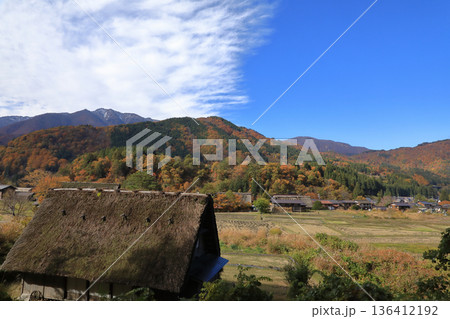 [定額] 秋の紅葉 白川郷 合掌造り集落 ( 岐阜県 白川村 ) 136412192