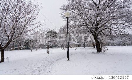 雪の降った日の都内の公園 136412197