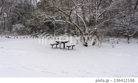 雪の降った日の都内の公園 136412198