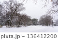 雪の降った日の都内の公園 136412200