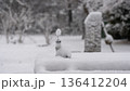 公園の水の場に積もる雪 136412204