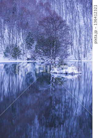 湖面に映る樹木 136412321