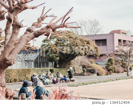 園内で日光浴を楽しむ高齢者グループ 136412404