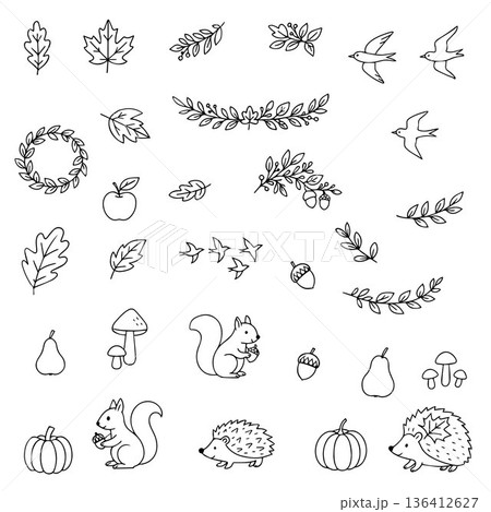 Vector illustration showcasing various autumn nature elements. Includes leaves, birds, acorns, squirrels, hedgehogs, mushrooms, and seasonal fruits. Perfect for fall-themed designs. Vector illustration showcasing various autumn nature elements. Includes leaves, birds, acorns, squirrels, hedgehogs, mushrooms, and seasonal fruits. Perfect for fall-themed designs. 136412627
