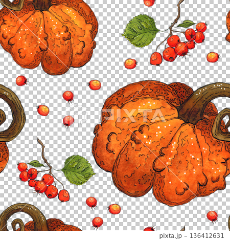 Seamless pattern of pumpkins and hawthorn berries. Hand drawn illustration with watercolor and ink. Drawing for printing on fabric, paper, scrapbooking. Autumn, harvest, vegetables, food, vitamins 136412631