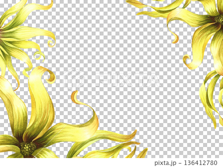 Frame with ylang-ylang flowers. Hand-drawn watercolor illustration. Border with exotic fragrant yellow flowers. For packaging, greeting and invitation cards, labels, and more. Frame with ylang-ylang flowers. Hand-drawn watercolor illustration. Border with exotic fragrant yellow flowers. For packaging, greeting and invitation cards, labels, and more. 136412780