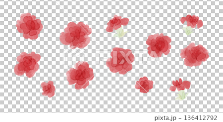 かわいい赤いカーネーションのイラストのセット 水彩風 かわいい赤いカーネーションのイラストのセット 水彩風 136412792