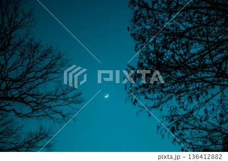 月と夜空 136412882