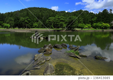 池のほとりに咲く花菖蒲 池のほとりに咲く花菖蒲 136413085