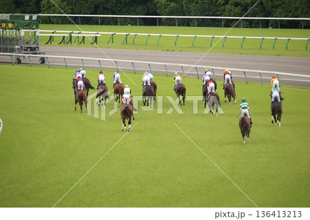 東京競馬場でのレース後の馬群 ゴール後に走り去る競走馬と騎手 136413213