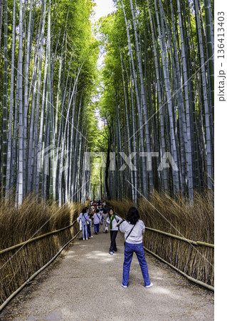 京都府嵐山 竹林の小径 京都府嵐山 竹林の小径 136413403