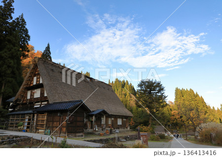 [定額] 秋の紅葉の 五箇山 相倉合掌造り集落 ( 富山県 南砺市 ) 136413416