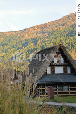 [定額] 秋の紅葉の 五箇山 相倉合掌造り集落 ( 富山県 南砺市 ) 136413419