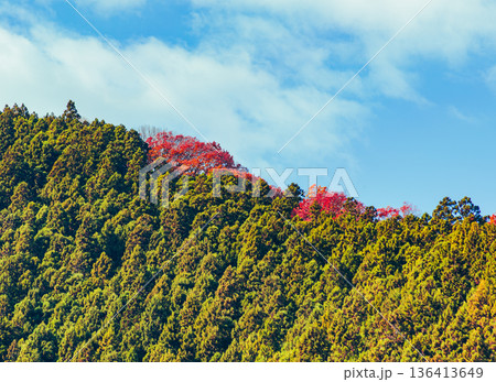 紅葉した山と青空 紅葉した山と青空 136413649