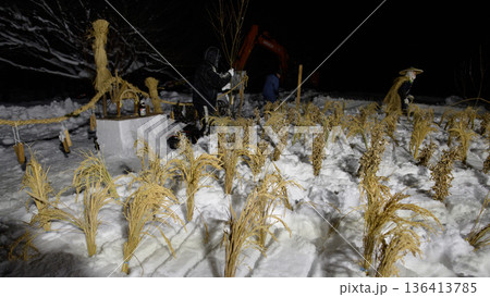 雪中田植え 秋田県 太田の火祭り 雪中田植え 秋田県 太田の火祭り 136413785