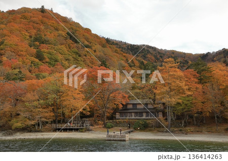 [定額] 遊覧船から望む秋の紅葉の中禅寺湖 ( 栃木県 日光市 ) 136414263