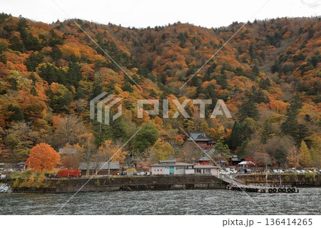 [定額] 遊覧船から望む秋の紅葉の中禅寺湖 ( 栃木県 日光市 ) 136414265