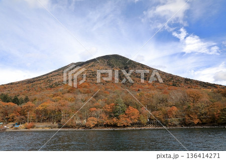 [定額] 遊覧船から望む秋の紅葉の中禅寺湖 ( 栃木県 日光市 ) 136414271