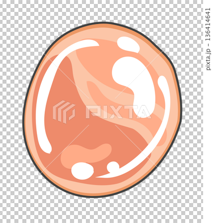 烤豬肉片 136414641