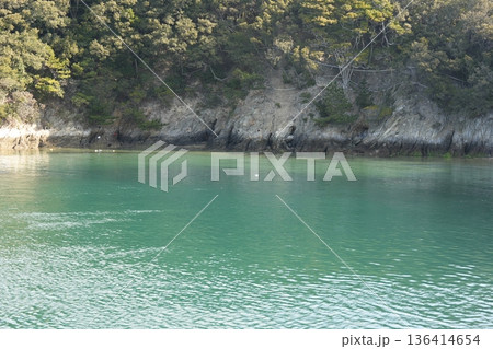 日本のエメラルドグリーン 136414654