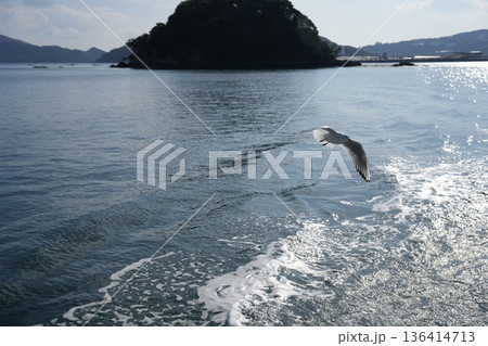 優雅に飛ぶカモメ 優雅に飛ぶカモメ 136414713