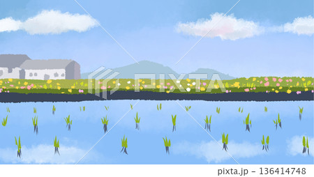 158_たんぼ 136414748