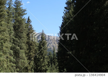 中国シルクロードの旅　ウルムチ天山天池の風景 136414904
