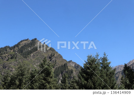 中国シルクロードの旅　ウルムチ天山天池の風景 136414909