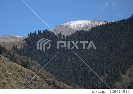中国シルクロードの旅　ウルムチ天山天池の風景 136414956