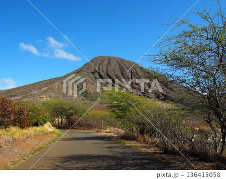 ハワイの人気アクティビティ、ココヘッド・トレイルからの美しい眺望 136415058