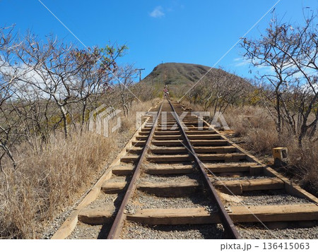 ハワイの人気アクティビティ、ココヘッド・トレイルからの美しい眺望 136415063