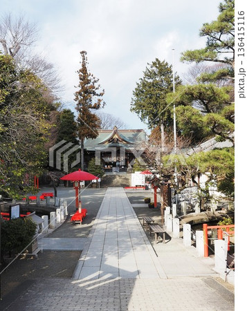 神奈川県 相模の國総社 六所神社 1月 神奈川県 相模の國総社 六所神社 1月 136415116