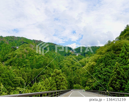 坂本高浜線の美林街道で前方の山間に近畿自動車道の架橋が見える風景 福井県大飯郡おおい町石山 坂本高浜線の美林街道で前方の山間に近畿自動車道の架橋が見える風景 福井県大飯郡おおい町石山 136415239