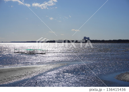 葛西臨海公園の干潟/Tidal Flat at Kasai Rinkai Park  136415436