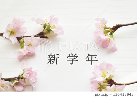 啓翁桜と新学年の文字 白バック 啓翁桜と新学年の文字 白バック 136415943