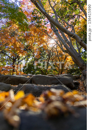 紅葉のある風景 紅葉のある風景 136415990