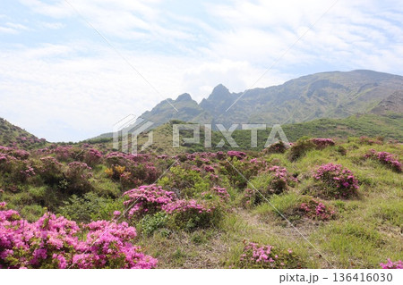 九州熊本県阿蘇山 九州熊本県阿蘇山 136416030