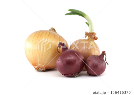 A group of yellow and red onions, one with a green sprout, isolated on white A group of yellow and red onions, one with a green sprout, isolated on white 136416370
