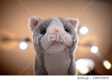 見つめる猫のぬいぐるみ 見つめる猫のぬいぐるみ 136416685
