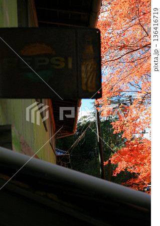 観光地の古い売店の看板と紅葉 136416719