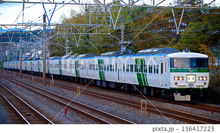 二宮の185系 136417223
