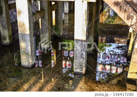 多賀大社　万灯祭 136417280