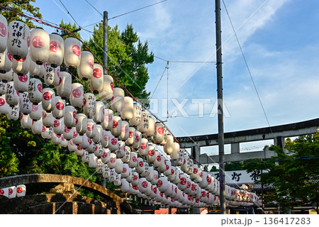 多賀大社 万灯祭 多賀大社 万灯祭 136417283