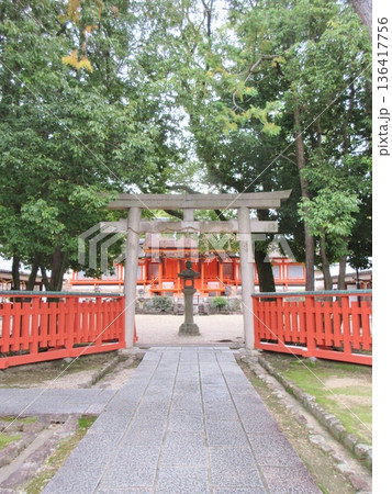 薬師寺 孫太郎稲荷神社 薬師寺 孫太郎稲荷神社 136417756