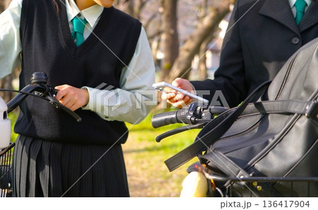 桜並木でスマホを見る二人の女子高生 136417904