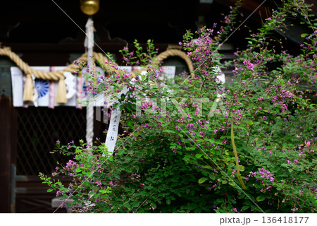 梨木神社　萩の宮 136418177