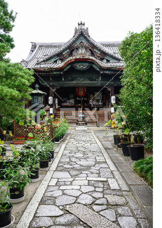 革堂(行願寺)藤袴 革堂(行願寺)藤袴 136418334