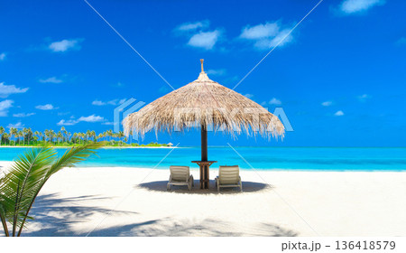 Beach.  White tropical beach in Maldives with few palm trees and blue lagoon 136418579